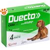 Candioli Dog Duecto Spot-On (20-40kg) - Offerta [PREZZO A CONFEZIONE] Quantità minima 2, Confezione da 4 Pipette