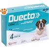 Candioli Dog Duecto Spot-On (40-60kg) - Offerta [PREZZO A CONFEZIONE] Quantità minima 2, Confezione da 4 Pipette