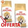 Royal Canin FBN Cat Adult Persian - Offerta [PREZZO A CONFEZIONE] Quantità Minima 2, Sacco Da 10 Kg