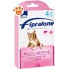 Formevet Cat Fipralone - Offerta [PREZZO A CONFEZIONE] Quantità minima 2, Confezione da 4 Pipette