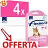 Formevet Cat Fipralone - Offerta [PREZZO A CONFEZIONE] Quantità minima 4, Confezione da 4 Pipette