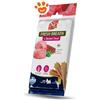 Farmina Dog Snack Dental Treat N&D Quinoa Fresh Breath Mini - Confezione Da 60 Gr
