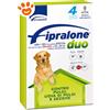 Formevet Dog Fipralone Duo (20-40Kg) - Offerta [PREZZO A CONFEZIONE] Quantità minima 2, Confezione da 4 Pipette