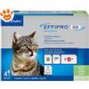 Virbac Cat Effipro Duo Spot-On - Offerta [PREZZO A CONFEZIONE] Quantità minima 4, Confezione da 4 Pipette
