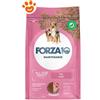 Forza10 Dog Maintenance Adult All Size con Maiale - Sacco Da 12 Kg
