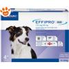 Virbac Dog Effipro Duo Spot-On (10-20Kg) - Offerta [PREZZO A CONFEZIONE] Quantità minima 2, Confezione da 4 Pipette