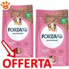Forza10 Dog Maintenance Adult All Size con Maiale - Offerta [PREZZO A CONFEZIONE] Quantità Minima 2, Sacco Da 12 Kg