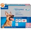Virbac Dog Effipro Duo Spot-On (20-40Kg) - Offerta [PREZZO A CONFEZIONE] Quantità minima 2, Confezione da 4 Pipette