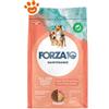 Forza10 Dog All Size Maintenance Light con Tonno e Riso - Offerta [PREZZO A CONFEZIONE] Quantità Minima 2, Sacco Da 12 Kg
