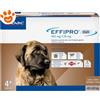 Virbac Dog Effipro Duo Spot-On 40-60 kg - Offerta [PREZZO A CONFEZIONE] Quantità minima 4, Confezione da 4 Pipette