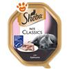 Sheba Cat Paté Classic con Salmone - Vaschetta Da 85 Gr - CONFEZIONE RISPARMIO