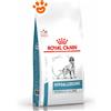Royal Canin Dog VHN Hypoallergenic Moderate Calorie - Sacco Da 14 Kg