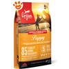 Orijen Dog Puppy - Sacco Da 2 Kg