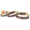 Camon Dog Collare "Timber" Marrone - 20x460 mm