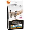 Purina Cat Pro Plan Veterinary Diets NF Renal Fuction Advanced Care - Sacco Da 1,5 Kg