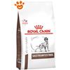 Royal Canin Dog VHN Gastrointestinal - Sacco Da 15 Kg