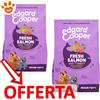 Edgard Cooper Dog Puppy con Salmone e Tacchino - Offerta [PREZZO A CONFEZIONE] Quantità Minima 2, Sacco Da 12 Kg