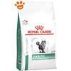 Royal Canin Cat Veterinary Diet Diabetic - Sacco Da 1,5 Kg