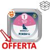 Forza10 Cat MonoDiet Maiale - Vaschetta Da 100 Gr - CONFEZIONE RISPARMIO