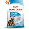 Royal Canin Dog Maxi Starter Mother & Babydog - Offerta [PREZZO A CONFEZIONE] Quantità Minima 2, Sacco Da 12 Kg