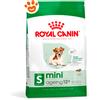 Royal Canin SHN Dog Mini Ageing 12+ - Sacco Da 3,5 Kg