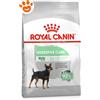 Royal Canin Dog CCN Mini Digestive Care - Sacco Da 3 Kg