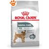Royal Canin Dog CCN Mini Dental Care - Sacco Da 3 Kg
