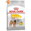 Royal Canin Dog CCN Medium Dermacomfort - Sacco Da 3 Kg