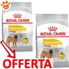 Royal Canin Dog CCN Medium Dermacomfort - Offerta [PREZZO A CONFEZIONE] Quantità Minima 2, Sacco Da 12 Kg