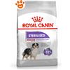 Royal Canin Dog CCN Medium Sterilised - Offerta [PREZZO A CONFEZIONE] Quantità Minima 2, Sacco Da 12 Kg