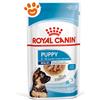 Royal Canin Dog SHN Maxi Puppy in Gravy - Bustina Da 140 Gr