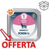 Forza10 Dog MonoDiet Maiale - Vaschetta Da 100 Gr - CONFEZIONE RISPARMIO