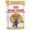 Royal Canin FBN Cat Adult British Shorthair - Bustina Da 85 Gr