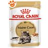 Royal Canin FBN Cat Adult Maine Coon - Bustina Da 85 Gr