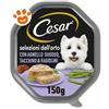 Cesar Dog Ricette Classiche con Agnello e Tacchino in Patè - Vaschetta Da 150 Gr