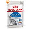 Royal Canin Cat Indoor Sterilised in Gelatina - Bustina Da 85 Gr