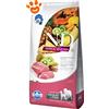 Farmina Dog N&D Tropical Adult Medium Maxi Maiale - Offerta [PREZZO A CONFEZIONE] Quantità Minima 2, Sacco Da 10 Kg