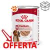 Royal Canin SHN Dog Medium Adult - Lattina Da 410 Gr - CONFEZIONE RISPARMIO