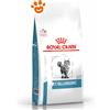 Royal Canin Cat Veterinary Diet Anallergenic - Sacco Da 2 Kg