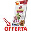 Farmina Dog Snack Dental Treat N&D Quinoa Digestion Agnello Medium/Maxi - Confezione Da 100 Gr - CONFEZIONE RISPARMIO