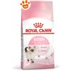 Royal Canin FHN Cat Kitten - Sacco Da 4 Kg