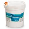 Candioli Horse Gastrocure - Confezione Da 2,6 Kg