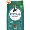Forza10 Dog Maintenance Maxi Adult Cervo e Patate - Sacco Da 12 Kg