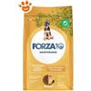 Forza10 Dog Maintenance Medium/Maxi Puppy Pollo e Patate - Sacco Da 12 Kg
