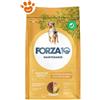 Forza10 Dog Maintenance Medium Adult Pollo e Patate - Offerta [PREZZO A CONFEZIONE] Quantità Minima 2, Sacco Da 12 Kg