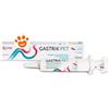 Candioli Dog&Cat Gastrik Pet in Pasta Appetibile - Confezione Da 30 Gr