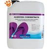 Lapi Piscina Semplice - Alghicida CONCENTRATO - Antialghe - Confezione Da 5 Kg