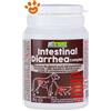 Petformance Dog&Cat Intestinal Diarrhea - Confezione Da 14 Compresse