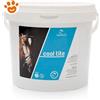 Equistro Horse Cool Tite per Cavalli - Confezione Da 5 Kg
