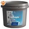 Equistro Horse Electrolyte C Polvere per Cavalli - Confezione Da 3 Kg